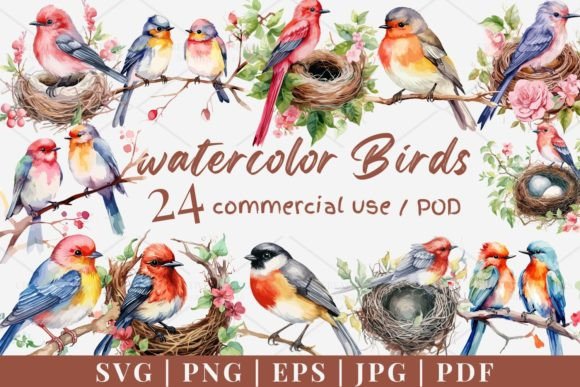 24 Watercolor Birds Vector, SVG, PNG Pack