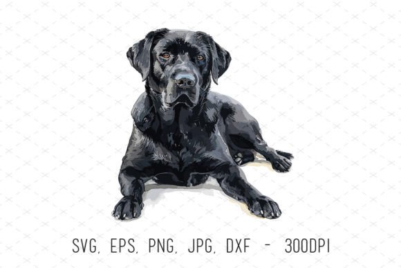 Unleashing Creativity with Black Labrador Watercolor Clipart for Sublimation and Design