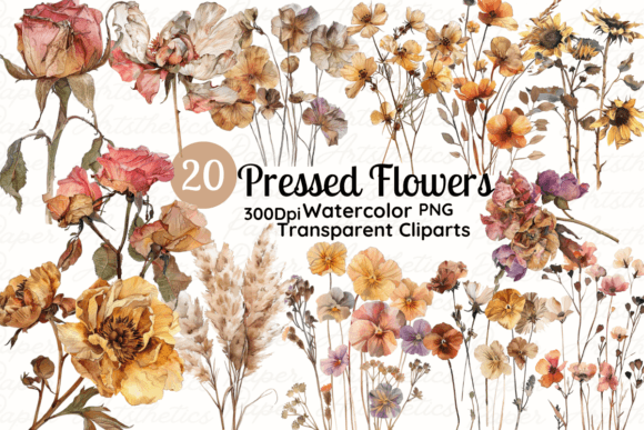 Watercolor Dried Pressed Flower Clipart for Digital and Print Crafts