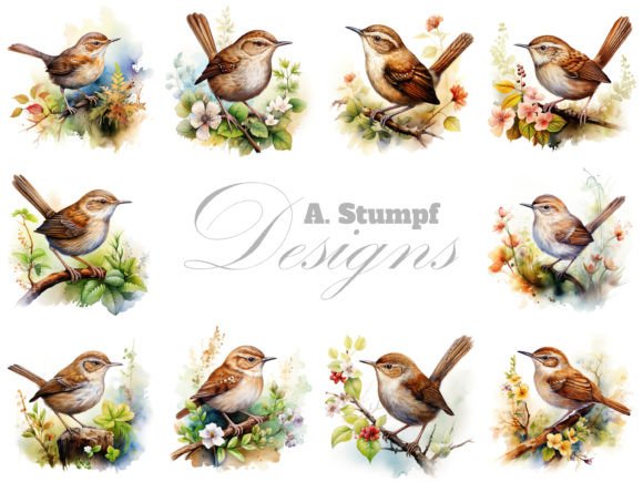 Wren Watercolor Bird Clip Art Bundle